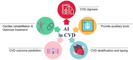 Cardiovascular Pathologies